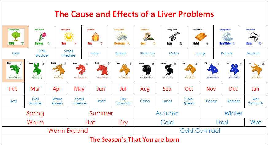 liver