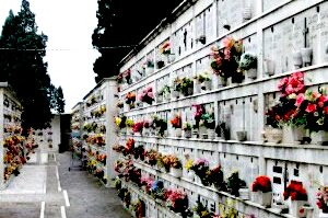 img-burial feng shui5